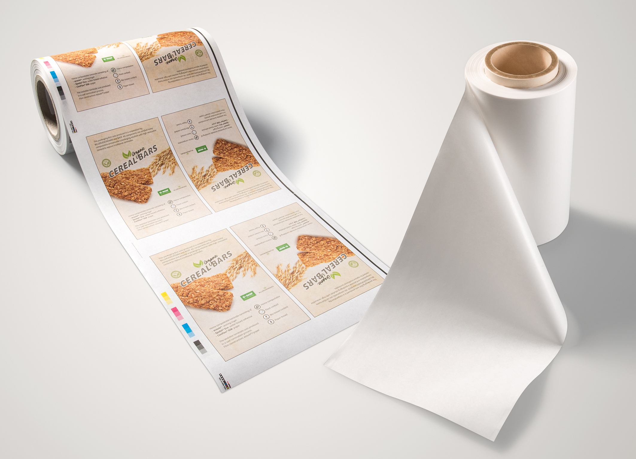 Flexible food Packaging, Biopolymers Food Packaging